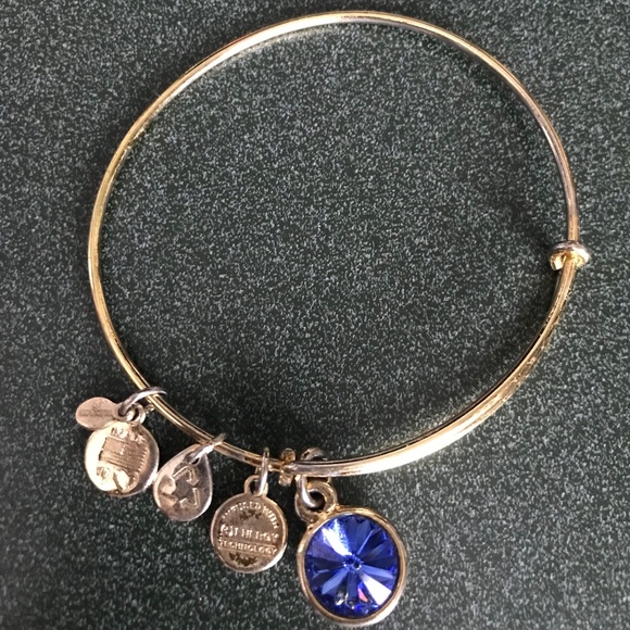 Alex and Ani Expandable Wire Bracelet - Picture 4 of 12
